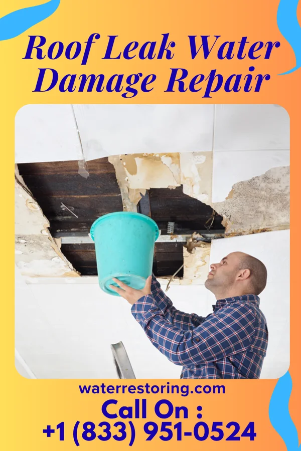Roof Leak Water Damage Repair in Woodburn, IN