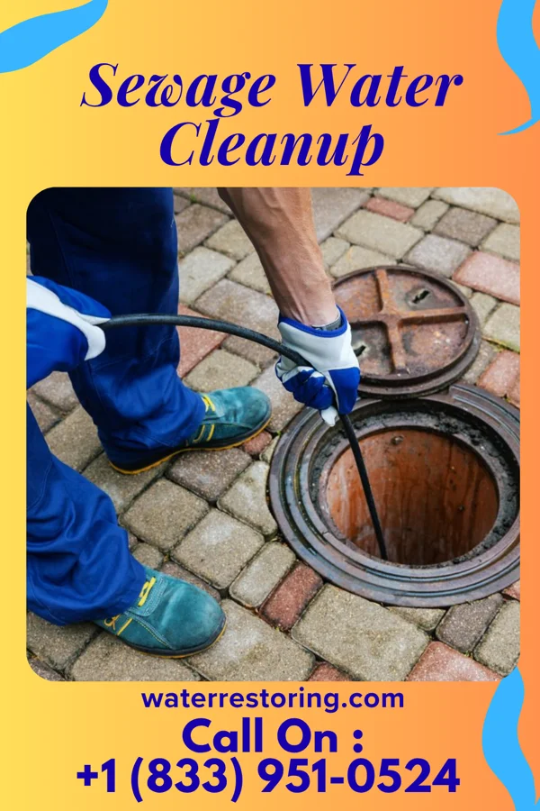 Sewage Water Cleanup in Woodburn, IN